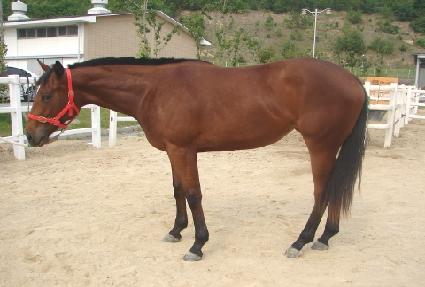 ������� ����