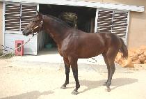 ��ȣ���� (GANGHO JEONSEOL) ����