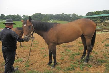 �Ƿ翧 ����