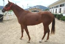 ����ο����� (HERO AGE) ����