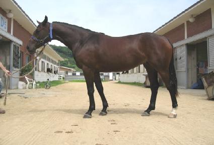 �ѳ��Ǻ� ����