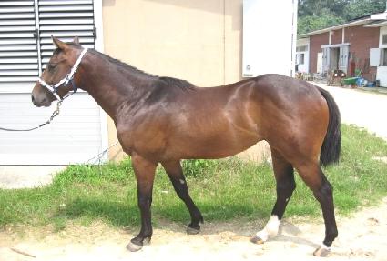 ����Ŀ�� ����