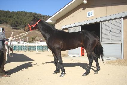 ���Ҽ��� ����