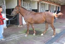 �����ƮŰ�� (BRIGHT KID) ����