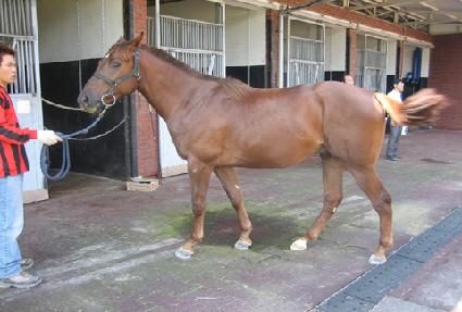 �����ƮŰ�� ����