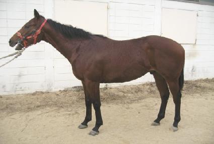 �µ帲 ����