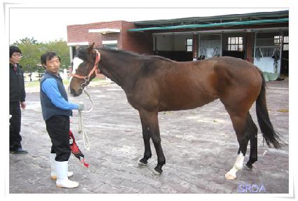 �帱�� ����