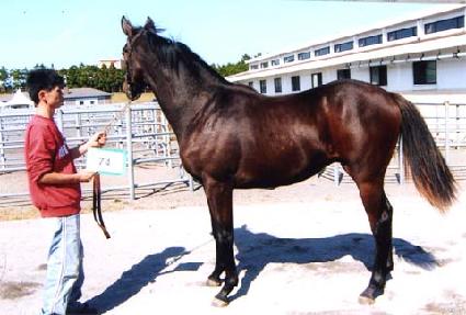 �뺸�� ����