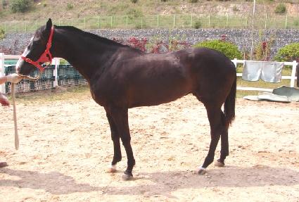 �ݺ����� ����