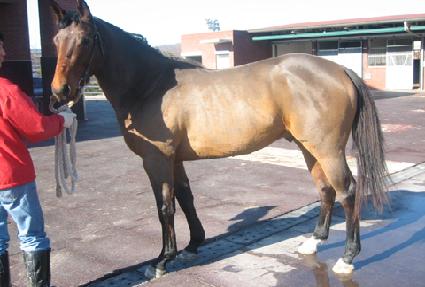 ���Ǻ��� ����