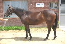 �����ǿ��� (PAJUGUI YEONSEUNG) ����