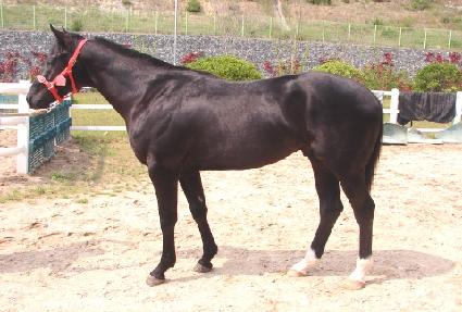 ������ż� ����