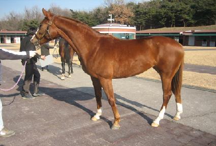 ��Ʈü��Ű ����