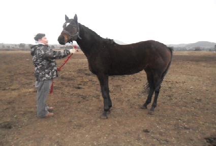 �ϱؼ� ����