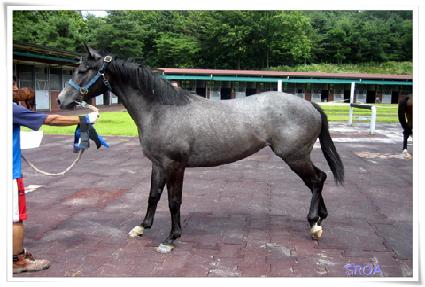 ����Ʈ ����