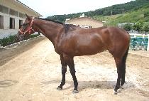 �ΰ�ź�� (BUGYEONG TANSAENG) ����