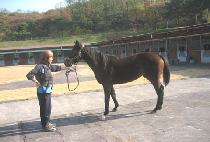 ���ۺ��� (SUPER BLUE) ����