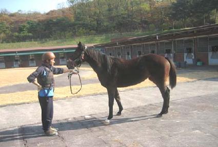 ���ۺ��� ����