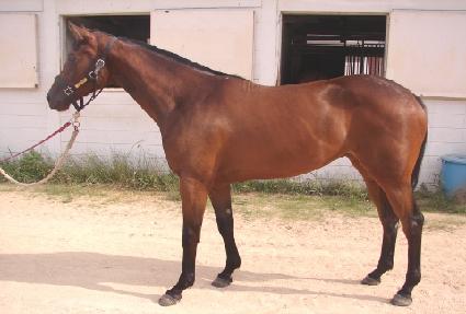 ��翡�� ����