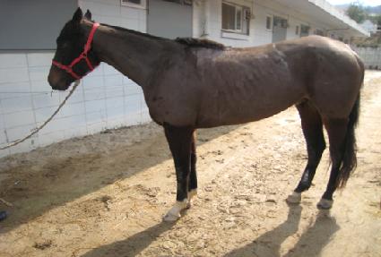 ��Ű���� ����