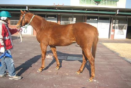 �ۼ���Ʈ���� ����