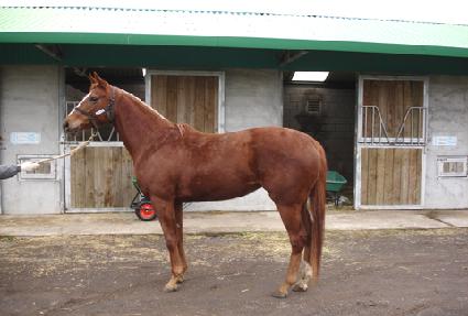 ���̽�Ʈ ����