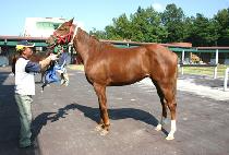 �ڱ�� (JAGIYA) ����