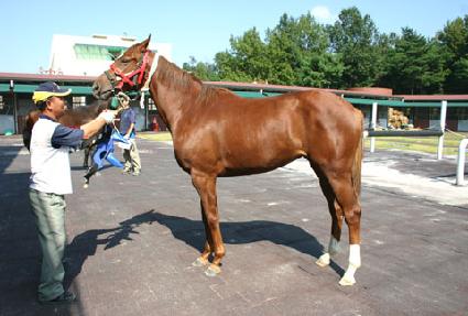 �ڱ�� ����