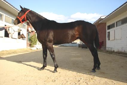 ������ ����