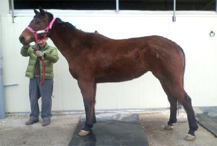 �����Ĩ ����