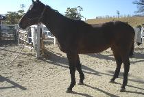 ����Ű�� (WINNING KEEPER) ����