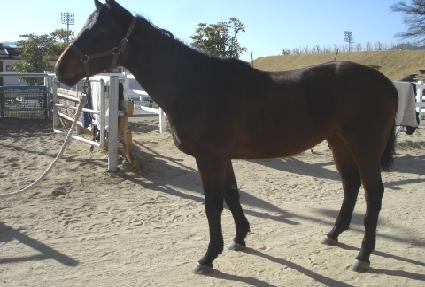 ����Ű�� ����