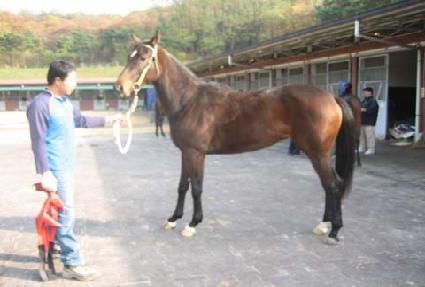 ǻó������ ����