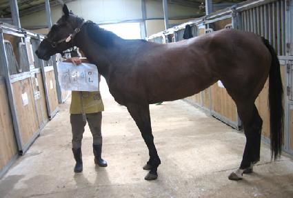 �ڿ����� ����