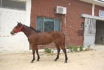 ��ũ���븮 (SECRET VALLEY) ����