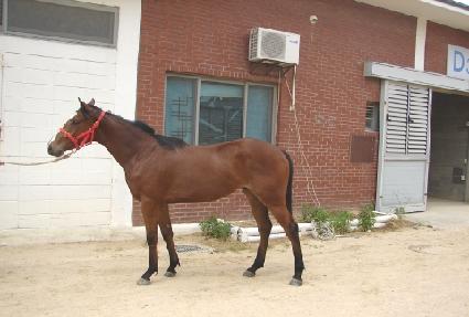 ��ũ���븮 ����