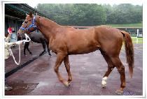 ���嵿�� (SEONGJANGDONGRYEUK) ����