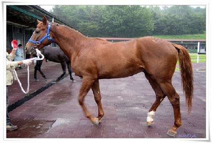 ���嵿�� ����