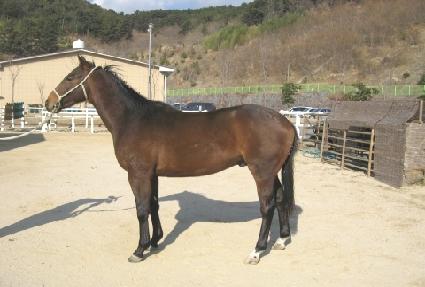 �ο��̷�Ŭ ����