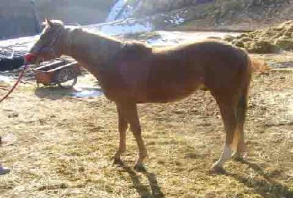 ���� ����