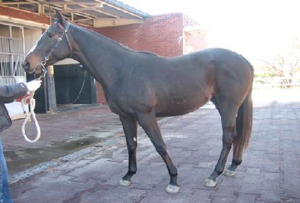 �������� ����