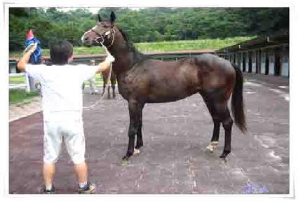 û����� ����