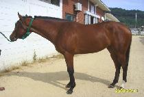 ���̵�� (HIGH DROP) ����