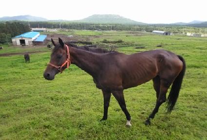 ���� ����