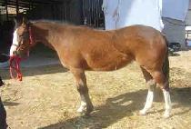 Ǫ��ġ�������ڸ� ����