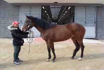 �ϴð��� (HANEUL GADEUK) ����