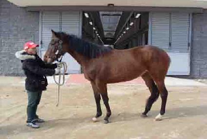 �ϴð��� ����