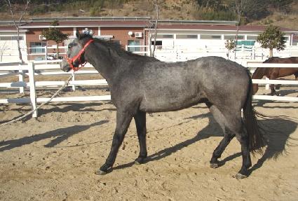 ����޽��� ����