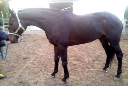 ���ű�� ����