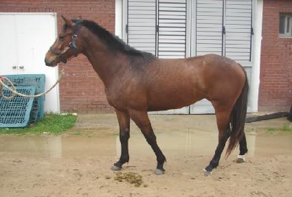 ȭ���ѽ¸� ����